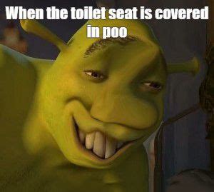 Shrek Meme Discover More Interesting Donkey Face Giant Green Memes