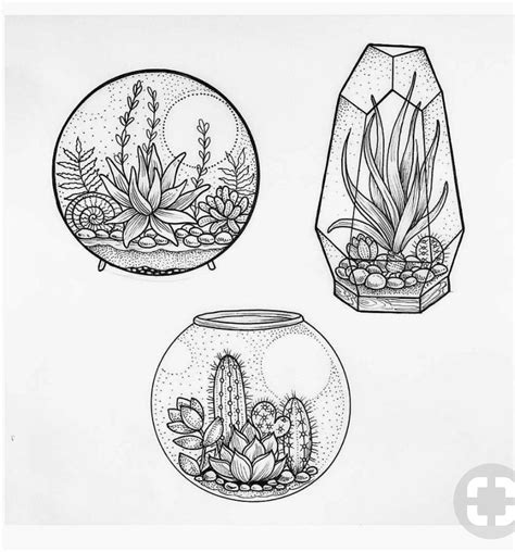 Succulent Drawing Black And White