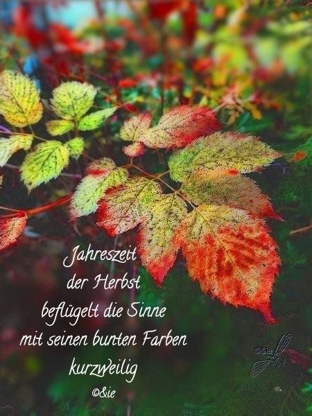 Gedicht Im Herbst Von Sieghild Krieter Elfchen Bei E Stories De