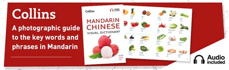 Collins Mandarin Chinese Visual Dictionary Lingua Inglese A Photo