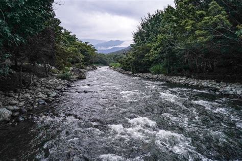 Francy Restrepo A On Twitter Un Parque Ambiental Para La Posteridad