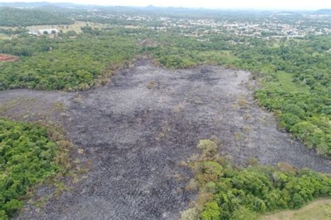 Polícia Militar Ambiental aplicou R 2 9 milhões em multa por incêndios