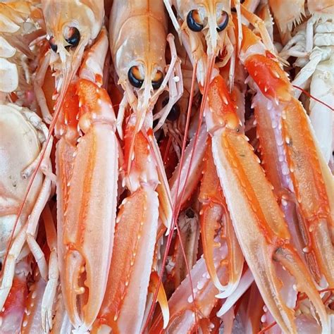 Buy Whole Langoustines Online Delivery And Collection