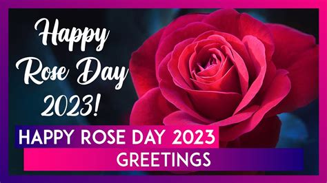 Amazing Collection Of Full K Happy Rose Day Images Over