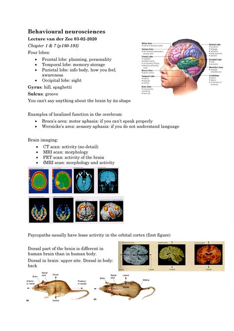 Behavioural Neurosciences Aantekingen Colleges Samenvatting