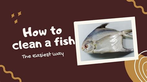 The Easiest Way To Clean A Fish How To Clean A Fish Cara Mudah