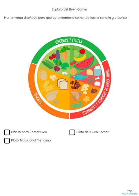 Actividad De Plato Del Buen Comer Worksheets Pie Chart Properties Of Porn Sex Picture