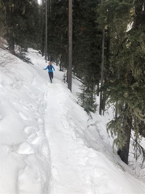 Lava Lake Trail Outside Bozeman