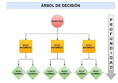 ¿qué Es Un Árbol De Decisión ¡aprende A Crear El Tuyo