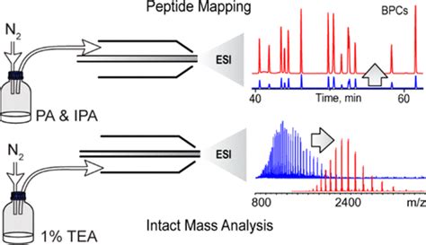 Simple Approach For Improved Lcms Analysis Of Protein