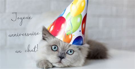 Joyeux Anniversaire Au Chat Images 50 Cartes De Voeux Gratuites