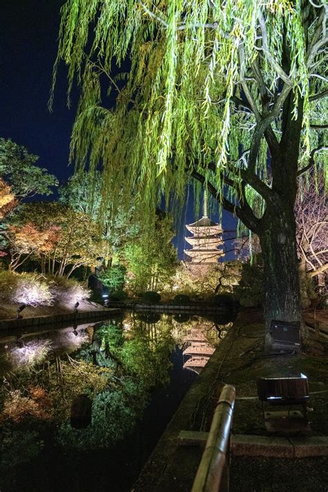 Night View in Toji 東寺 Kyoto Szu Lin Cheng Flickr