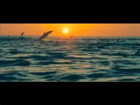 Любэ и Лёша(Возрождение) - может знает лес - YouTube