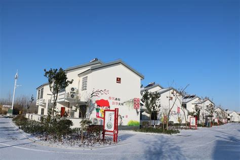 建湖县高作镇：雪染乡村 田野如画 盐城新闻网