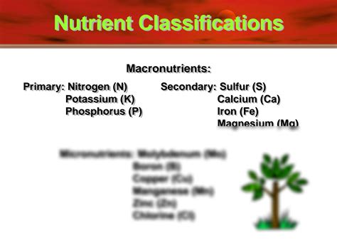 SOLUTION: Explanation of Fertilizers types - Studypool