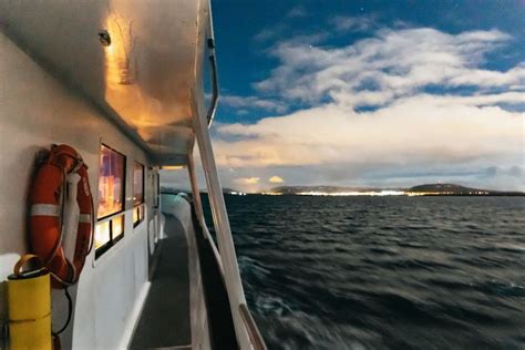 Reykjavik Northern Lights Yacht Tour Getyourguide