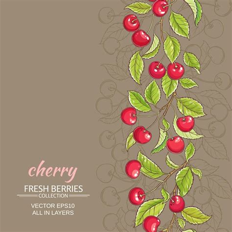 Premium Vector | Cherry vector background