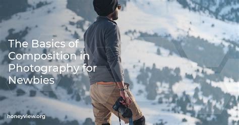 The Basics Of Composition In Photography For Newbies
