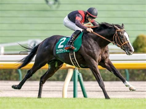 【今日の注目ポイント】中山で2歳の中距離王者決定戦・ホープフルs その他競技 スポーツブル スポブル