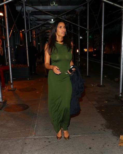 Padma Lakshmi Braless In See Through Dress At Cfda Photos