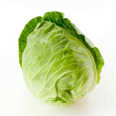 types  cabbage        eat learn