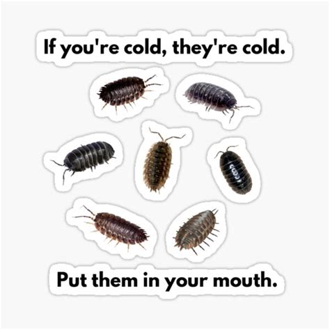 "If you're cold, they're cold. " Sticker for Sale by CandyAcid | Redbubble