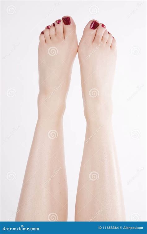 Feet up red toes stock photo. Image of female, body, point - 11653364