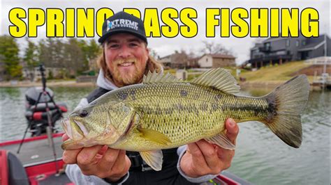 Michigan Pre Spawn Bass Fishing Early Spring Shallow Water Action