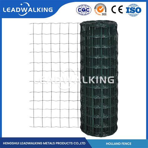 Leadwalking X Plastic Coating Metal Welded Wire Mesh Wholesaler High