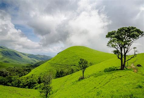 6 Day Mysore Coorg Ooty Package