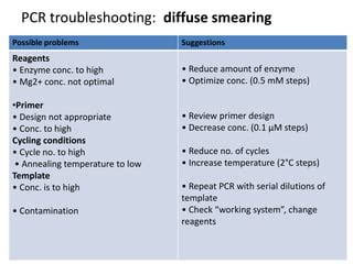 Pcr Troubleshooting Presentation Ppt