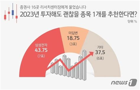 내년엔 삼성전자 사세요 저점 매수하면 기회 옵니다 클리앙