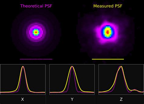 Point Spread Function Psf Scientific Volume Imaging