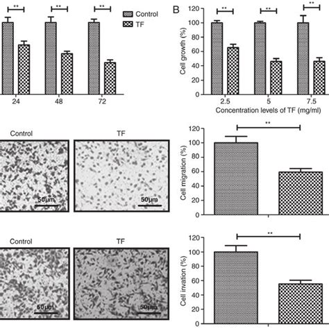 Tf Inhibited The Growth And Migration And Invasion Abilities Of A549