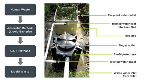 Qu Es Un Biodigestor Sigma Tierra