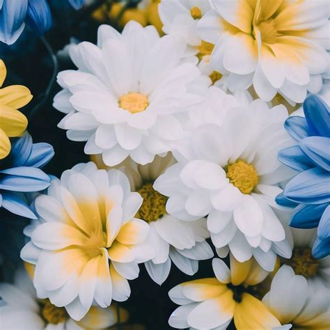 Premium AI Image | A very wide shot of flowers in yellow blue and white ...