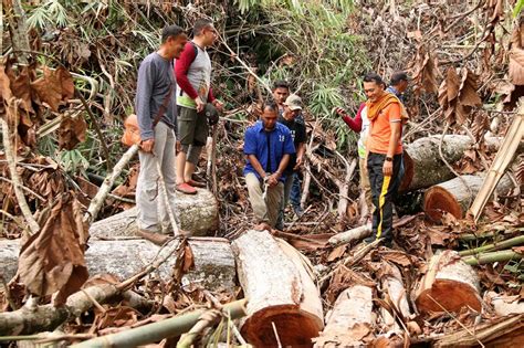 Satreskrim Aceh Singkil Ott Pelaku Illegal Logging