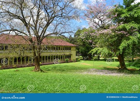 The University of Peradeniya Stock Photo - Image of flowers, clock: 83806534