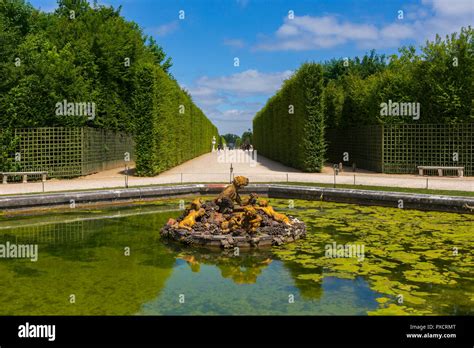 The Palace Of Versailles Was The Principal Royal Reside Of France From