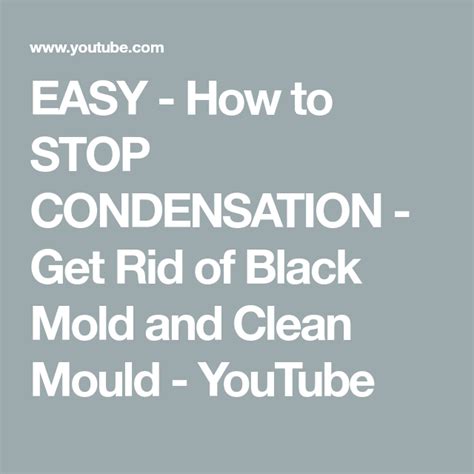 Easy How To Stop Condensation Get Rid Of Black Mold And Clean Mould Youtube How To Kill