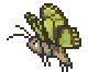 Moth | Terraria Wiki | Fandom