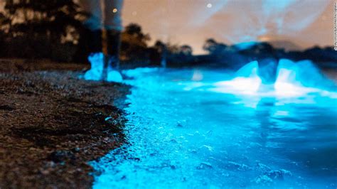 Bioluminescence Turns Australias Shores Bright Blue Cnn