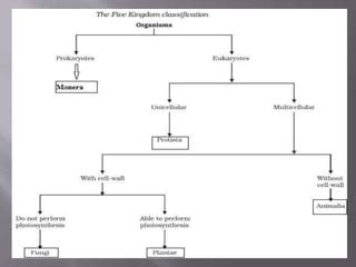 Kingdom Classification Whittaker Classification Ppt