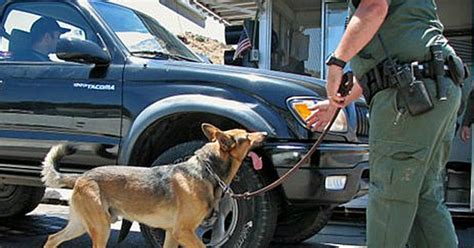 K 9 Goes Crazy As Border Patrol Stops Truck At Checkpoint What They