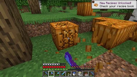 How To Get Pumpkins And Pumpkin Seeds Guide Minecraft Youtube