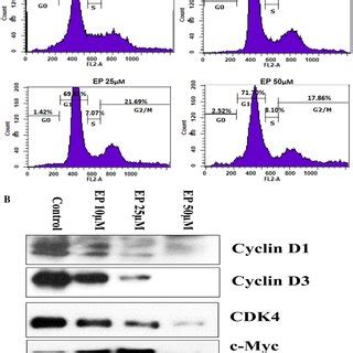 Ep Inhibits The Migratory Properties Of Du Cells In A Concentration