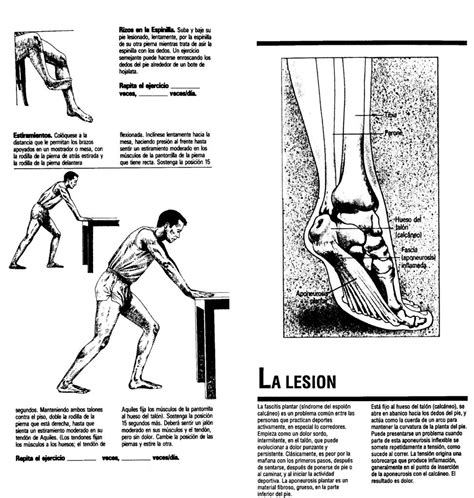 Ejercicios Para Facitis Plantar Ortop Dica Ortopedistas De Alta