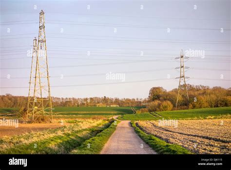 Electricity Pylons Countryside National Grid Evening Creative Stock