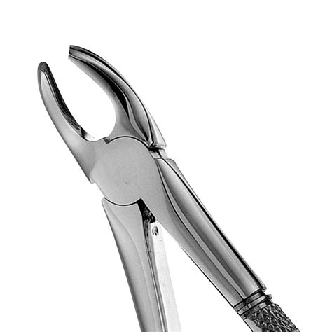 39 Pedo 1st And 2nd Lower Molars Extraction Forcep Hiteck Medical