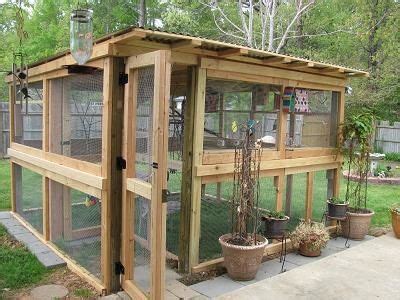 Building An Outdoor Release Cage Outdoor Pet Enclosure Wildlife